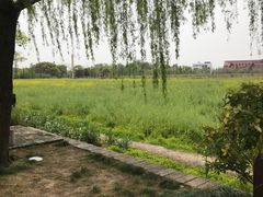 -广富林郊野公园