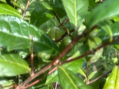 -老虎土菜馆·农家土菜