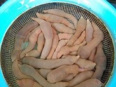 -香满居张记小厨私房菜(青岛站店)