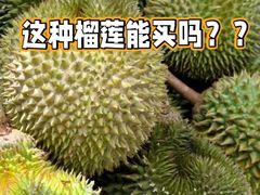 -江杨农产品批发市场