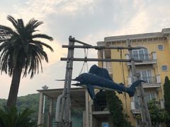 -平湖九龙山旅游度假区