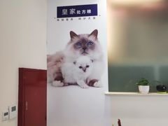 -瑞派申生动物医院·24H夜诊·国际动物医疗中心·骨外科(吴中路店)