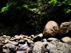 -白云源风景区