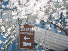-龙美术馆(西岸馆)