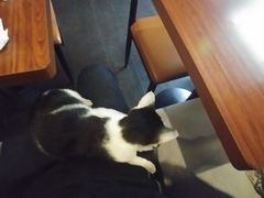 -虚荣精酿酒屋(五羊店)