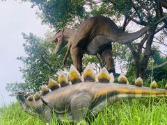 -自贡恐龙博物馆