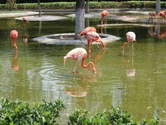 -石家庄市动物园