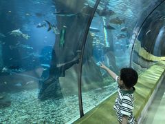 -福州罗源湾海洋世界旅游区