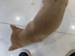 -悦宠凯宝动物医院·牙科·皮肤科(朝阳北路店)