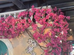-前海沿·青岛菜(李沧万达店)