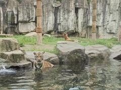 -上海野生动物园