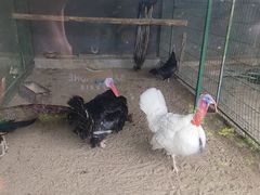 -瑞博尔花园酒店(太周创新产业园店)