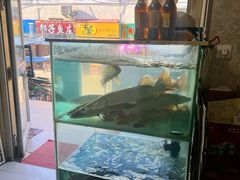 -煲来饱去冷水鱼