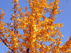 -鹫峰国家森林公园