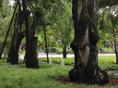 -北京市劳动人民文化宫(太庙)