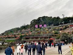 -枇杷园食为鲜火锅(南山店)