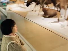 -陕西自然博物馆