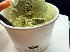 -BLACKSWAN黑天鹅(环球店)