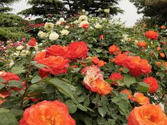 -国家植物园南园