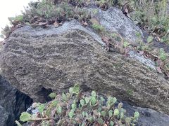 -涠洲岛火山国家地质公园