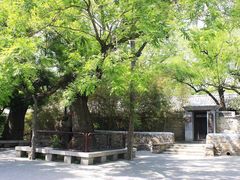 -红楼梦邮局