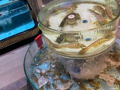 -强记海鲜·大排档(蛇口新街店)