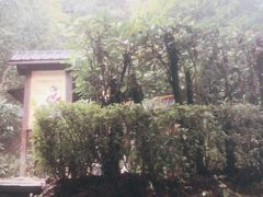 -明月山天沐温泉度假村