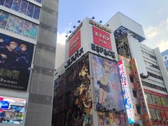 -秋叶原电器街
