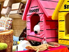 -帕帕拉兹宠物(亚洲旗舰店)