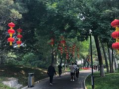 -丰台花园