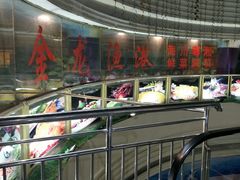 -金龙渔港(双楠店)
