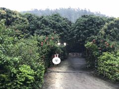 门面-荔景渔庄
