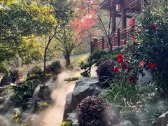 -广州市白云山风景名胜区