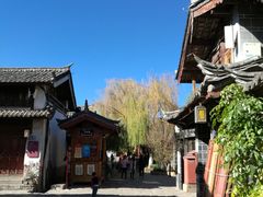 -大妈水饺(文华巷店)