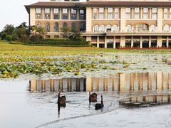 -南通滨江洲际酒店-西集自助餐厅