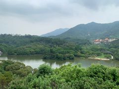 -深圳仙湖植物园