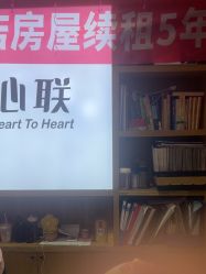 -心联形象设计·流星染