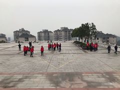 -铁山坪森林公园