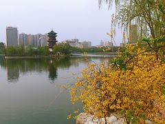 -迎泽公园