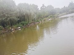 -济南国际园博园