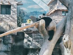 -北京动物园
