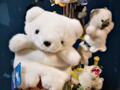 -上海海昌海洋公园