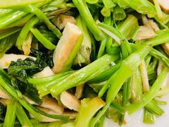 -春餐厅