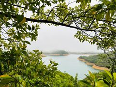 -马峦山郊野公园