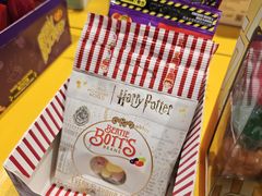 -芜湖方特旅游度假区