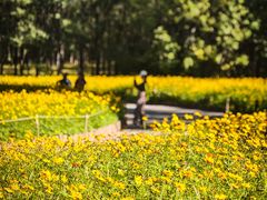 -朝阳公园游乐园