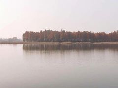 -东湖落雁景区