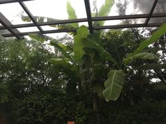 -苏州湾王焰温泉度假酒店