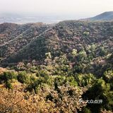 🍁爬龙山看红叶，近期可冲。