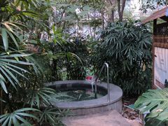 -丰泰花园酒店热矿泉